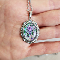 Glycine aurora