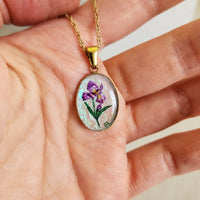 Iris