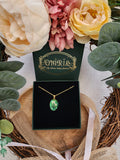 Pâquerette blanche sur fond vert